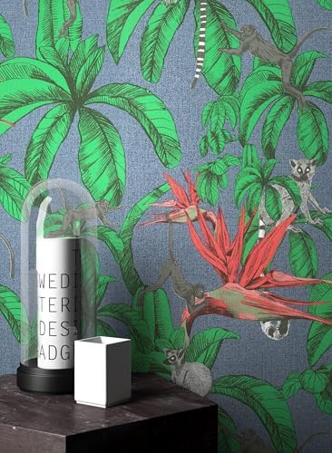 51Km9zzj9QL._AC_.jpg 51Km9zzj9QL._AC_.jpg