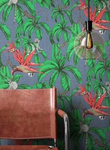 51zSAQvs-gL._AC_.jpg 51zSAQvs-gL._AC_.jpg